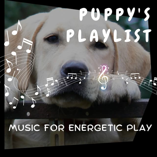 Puppy's Playlist - Music for Energetic Play - Puppy Music