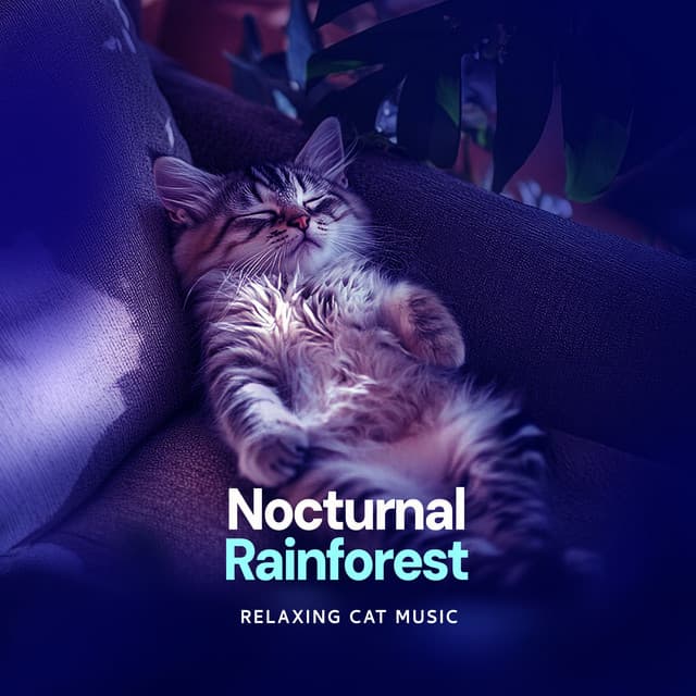 Nocturnal Rainforest - Relaxing Cat Music