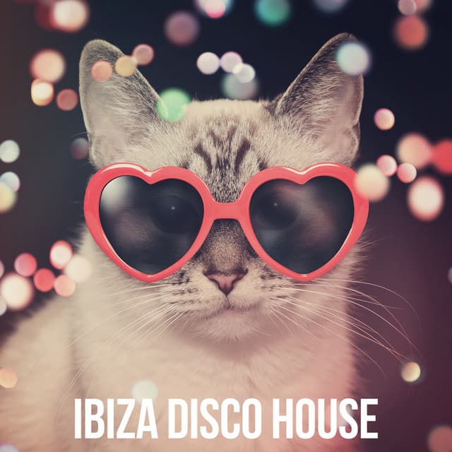 Ibiza Disco House - Ibiza Deep House Lounge