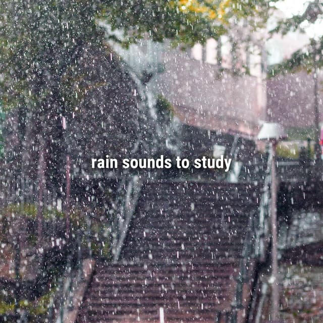 rain sounds to study - Sound Effects Library