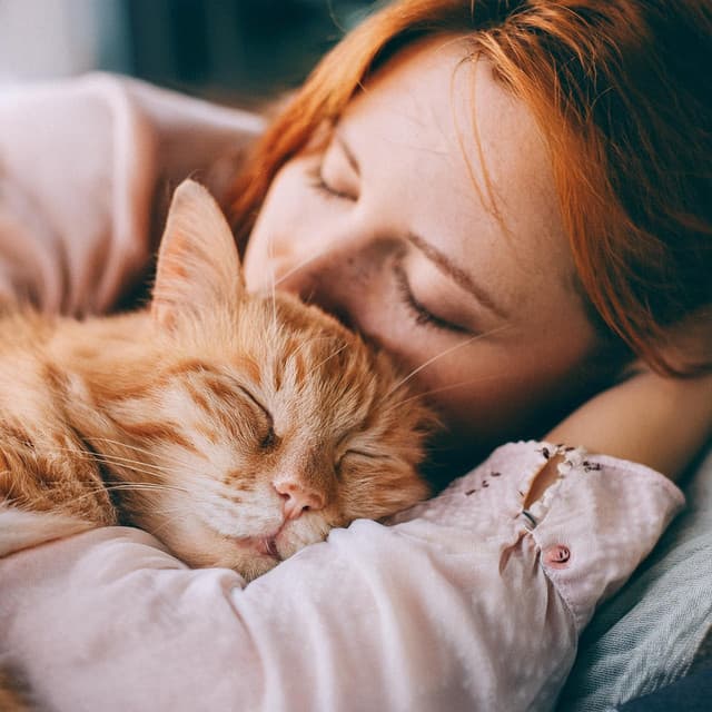 Latidos Binaurales Entretenimiento de Ondas Cerebrales