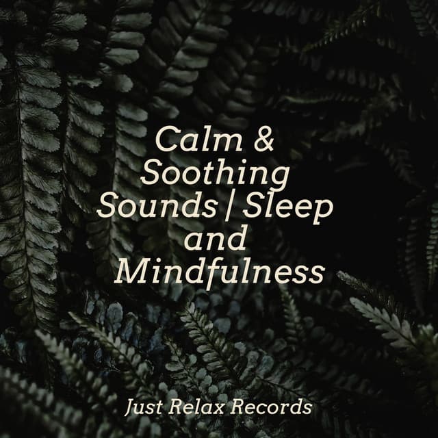 Calm & Soothing Sounds | Sleep and Mindfulness - Ambient