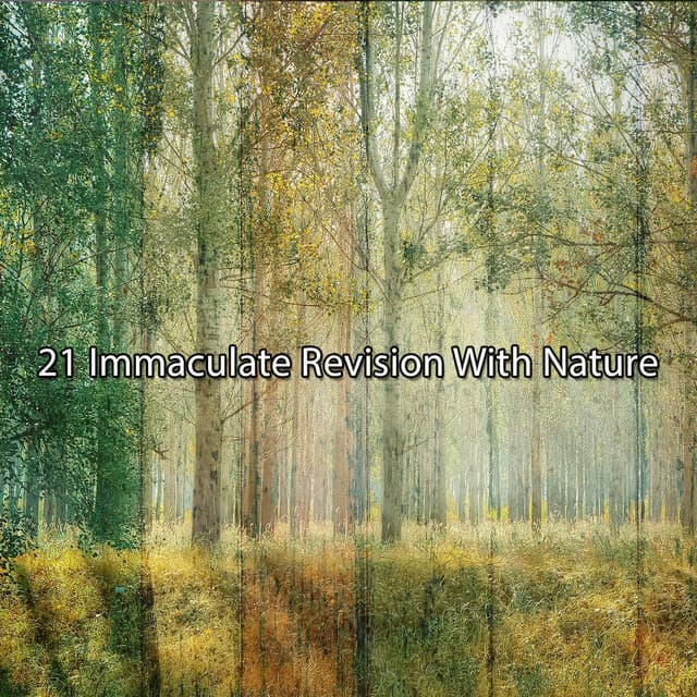 21 Immaculate Revision With Nature - Sounds of Nature Relaxation