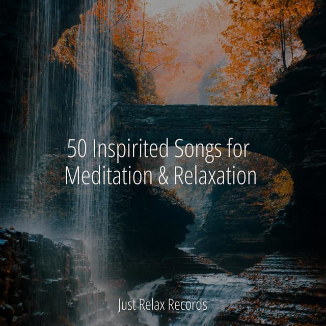 50 Inspirited Songs for Meditation & Relaxation - Deep Sleep Meditation
