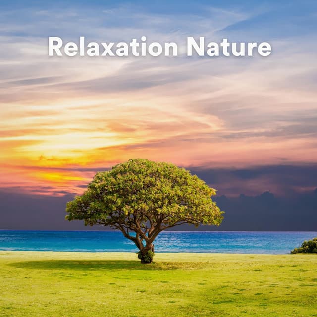 Oasis de Musique Nature Relaxante