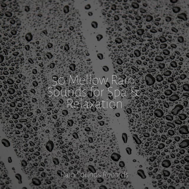50 Mellow Rain Sounds for Spa & Relaxation - Meeresrauschen
