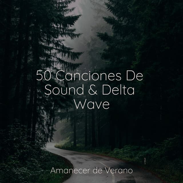 50 Canciones De Sound & Delta Wave - Academia de Música con Sonidos de la Naturaleza