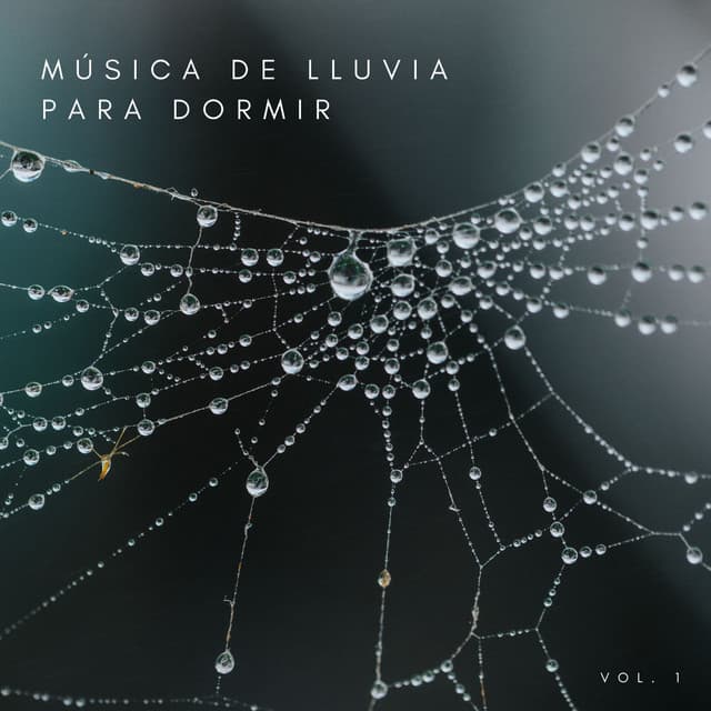Música De Lluvia Para Dormir Vol. 1 - Lluvia para un sueño profundo