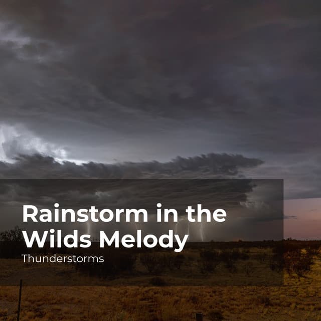 Rainstorm in the Wilds Melody - Thunderstorms