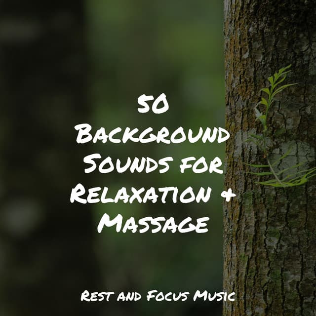 50 Background Sounds for Relaxation & Massage - Pink Noise