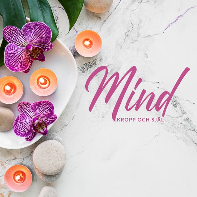 Mind, kropp och själ - Simon's Sleep Lullabies