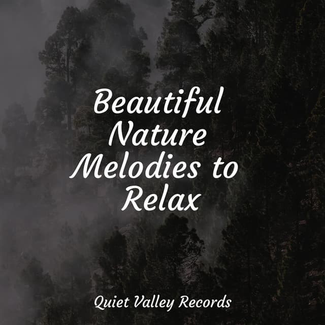 Beautiful Nature Melodies to Relax - Massagem Coleção de Músicas