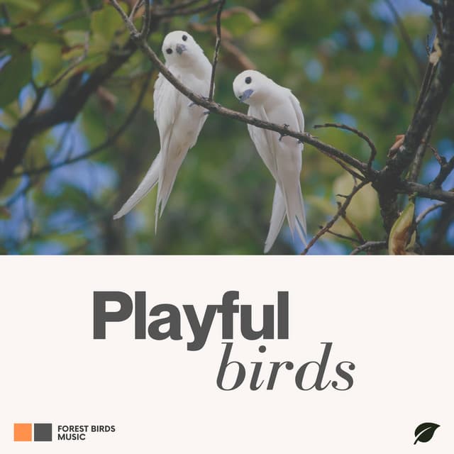 Playful Birds - Essential Nature Sounds