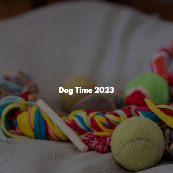Dog Time 2023 - Easy Jazz Listening