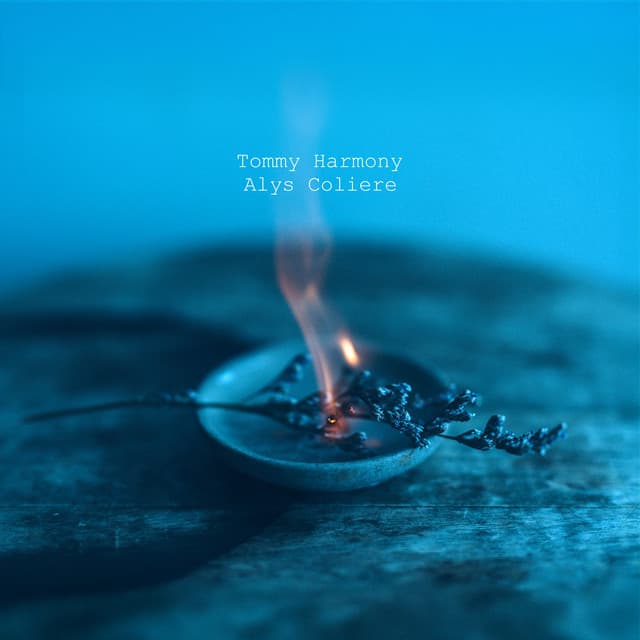 Tranquil Essence - Tommy Harmony