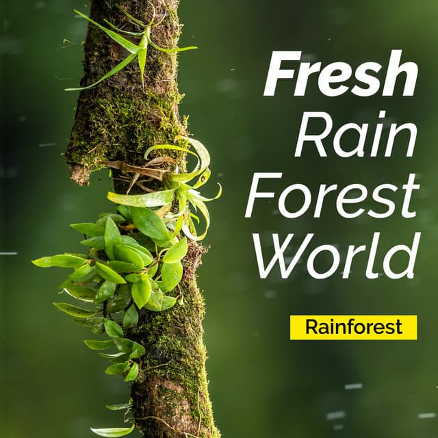 Fresh Rain Forest World - Rainforest