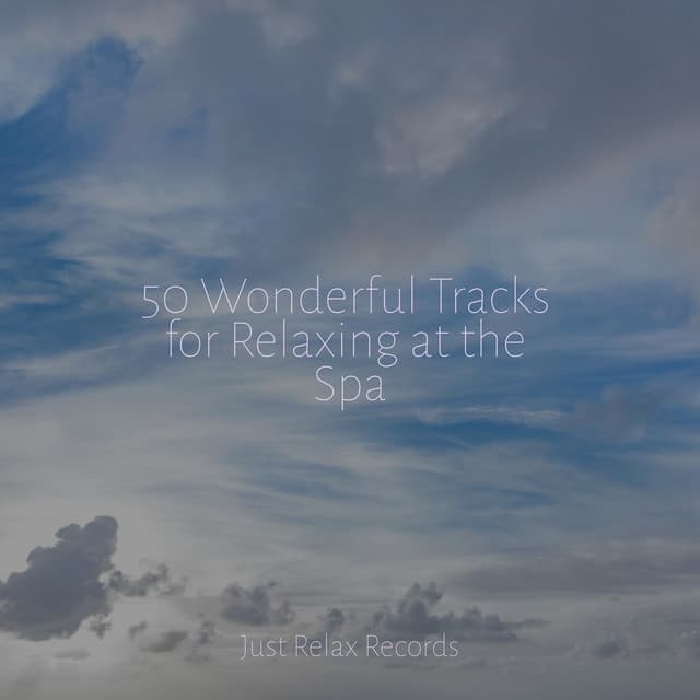 50 Wonderful Tracks for Relaxing at the Spa - Kinderliederbande