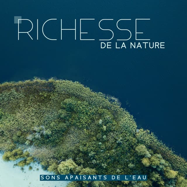 Richesse de la nature: Sons apaisants de l'eau - Natural New Age Maker!
