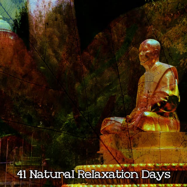 41 Natural Relaxation Days - Meditation Focus