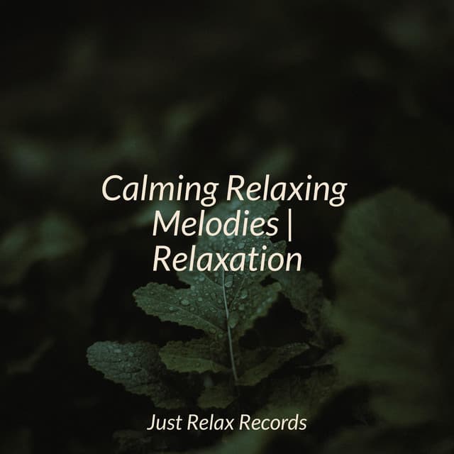 Calming Relaxing Melodies | Relaxation - Anxiety Relief