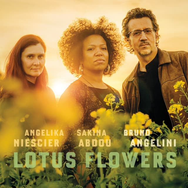 Lotus Flowers - Bruno Angelini