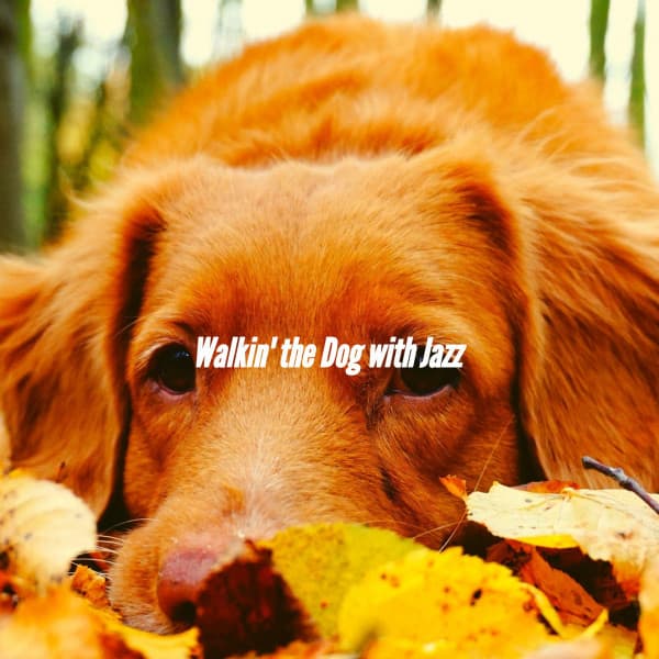 Walkin' the Dog with Jazz - Sleeptime for Dogs