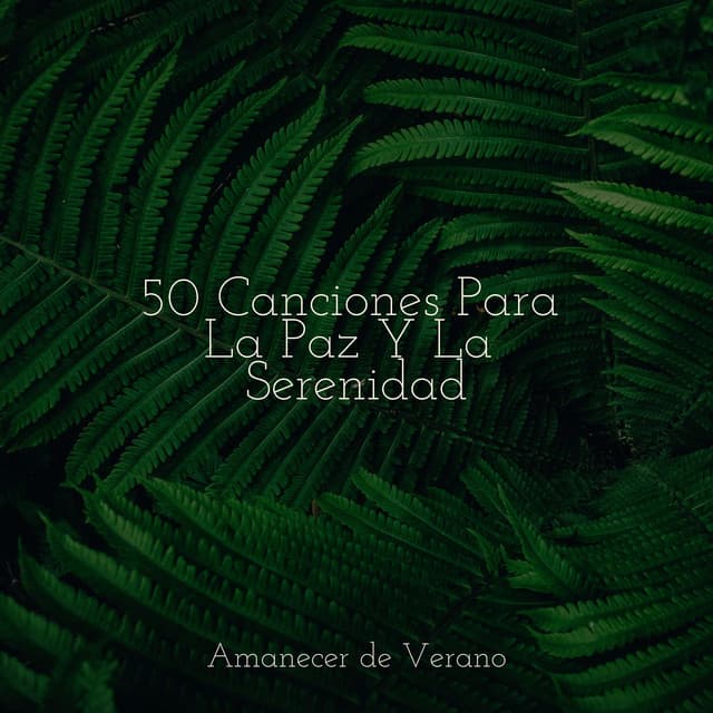 50 Canciones Para La Paz Y La Serenidad - Musica para Meditar