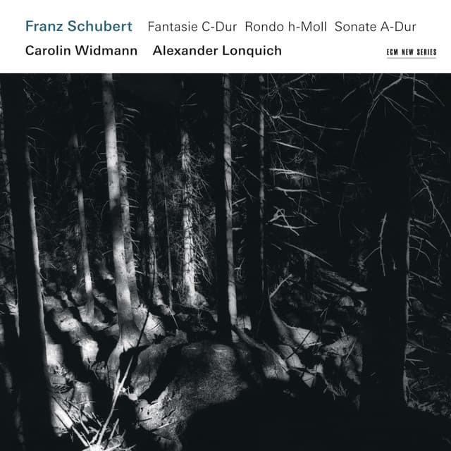 Schubert: Fantasie C-Dur / Rondo h-Moll / Sonate A-Dur - Franz Schubert