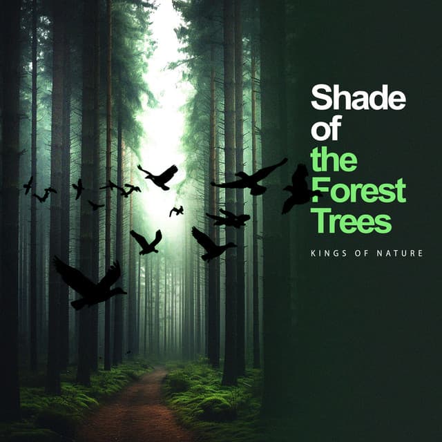 Shade of the Forest Trees - Forest Soundscapes