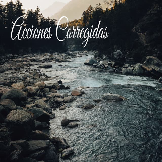 Acciones Corregidas - Música Instrumental Maestro