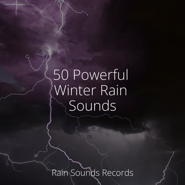 50 Powerful Winter Rain Sounds - Ocean Sounds