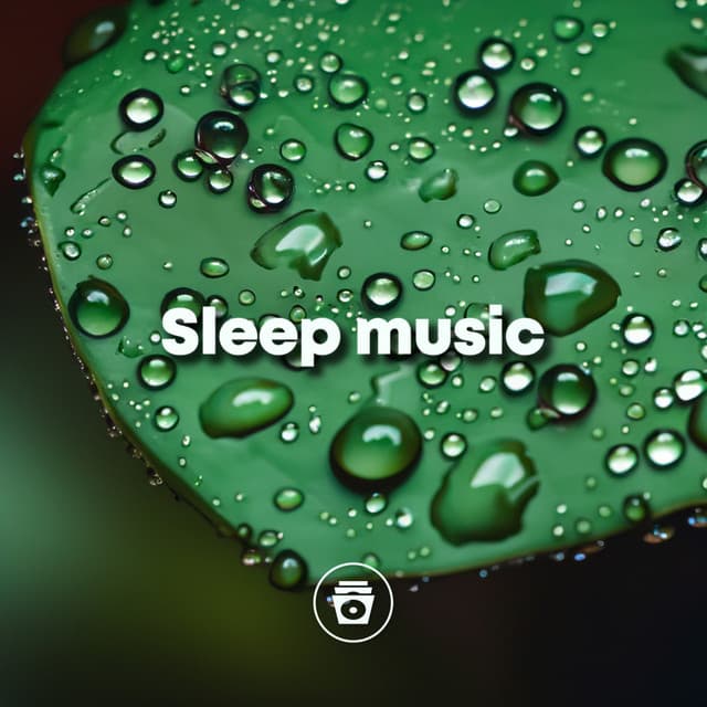 Sleep Music - Rain Recorders