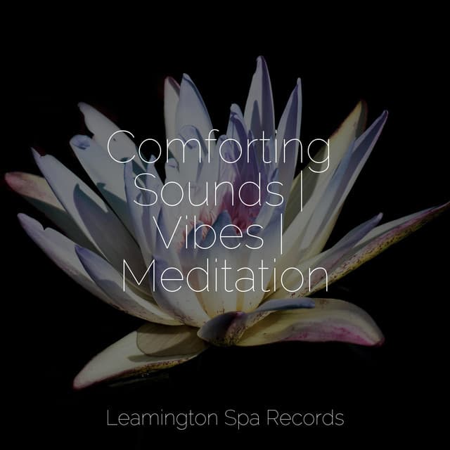 Comforting Sounds | Vibes | Meditation - It's Raining