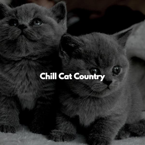 Chill Cat Country - Música para Desayuno Música De Fondo