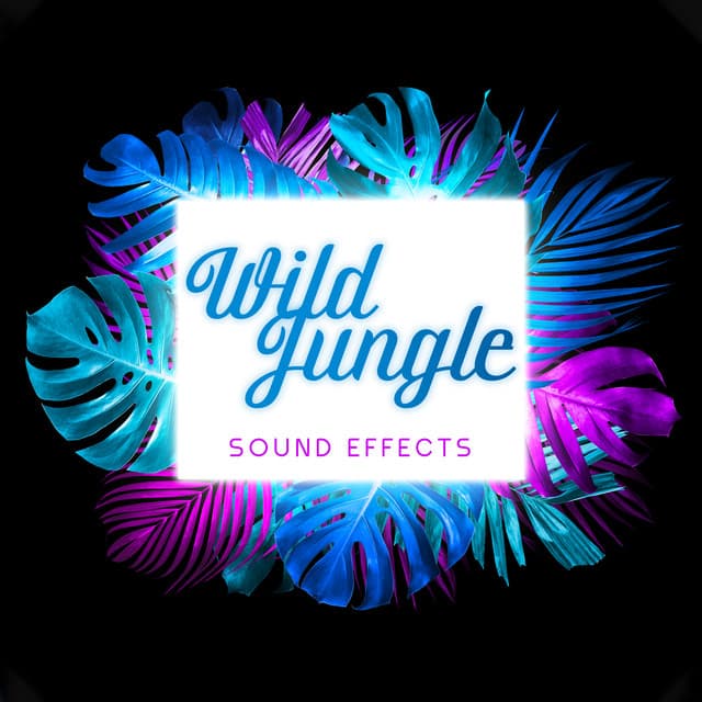 Wild Jungle Sound Effects - Pro Sound Effects Library