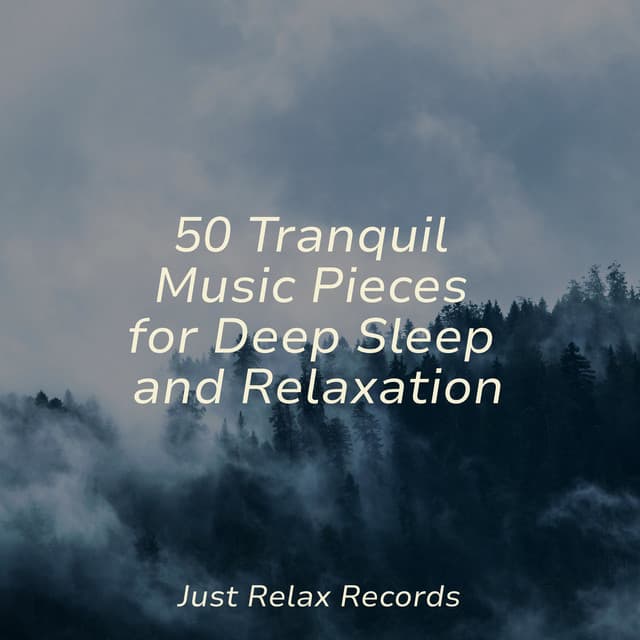 50 Tranquil Music Pieces for Deep Sleep and Relaxation - Dormir