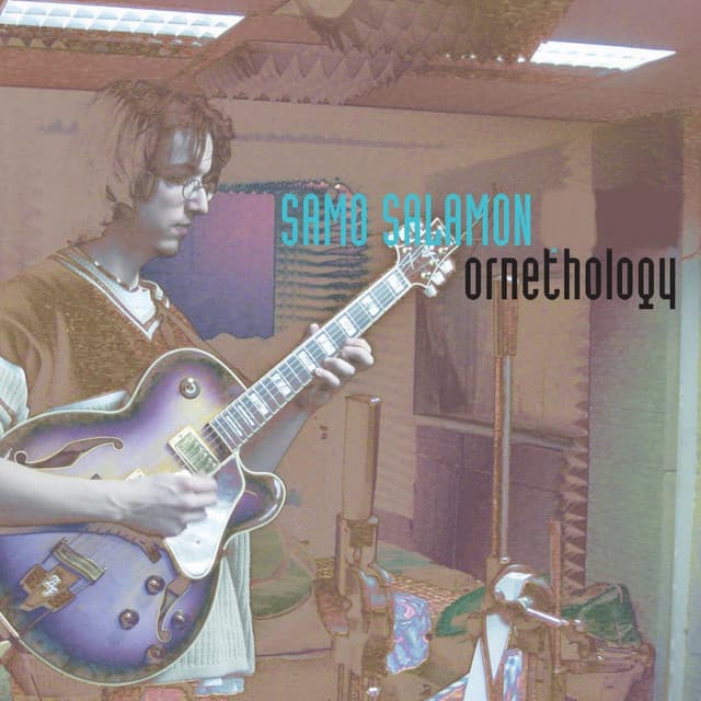 Ornethology - Samo Salamon