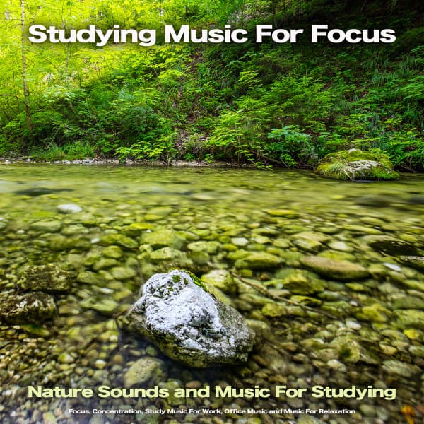 Studying Music For Focus: Nature Sounds and Music For Studying, Focus, Concentration, Study Music For Work, Office Music and Music For Relaxation - Concentration Music for Work