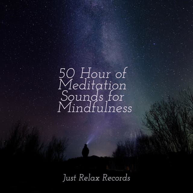 50 Hour of Meditation Sounds for Mindfulness - kinderliedjes