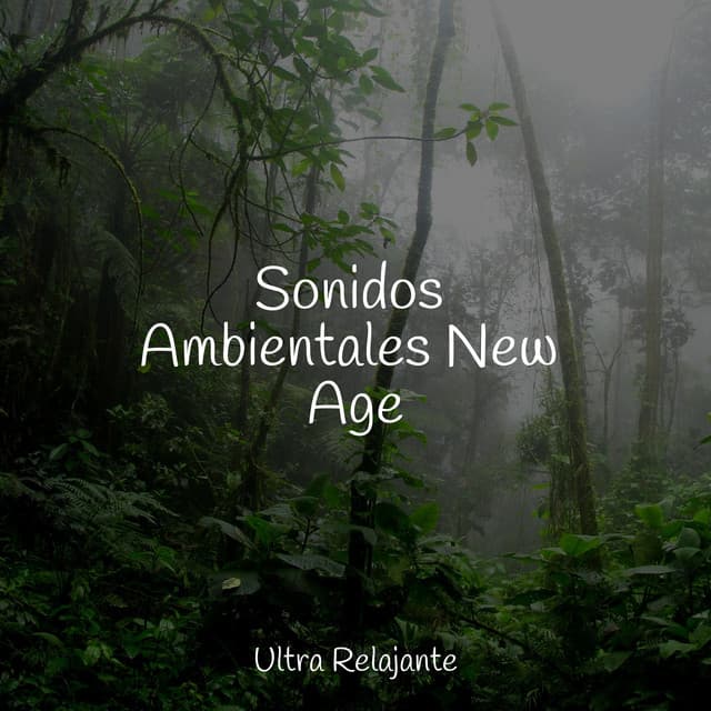 Sonidos Ambientales New Age - Academia de Relaxamento e Meditação