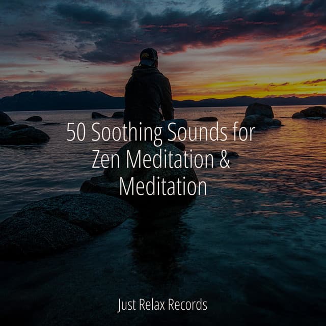 50 Soothing Sounds for Zen Meditation & Meditation - Música Relajante para Bebés