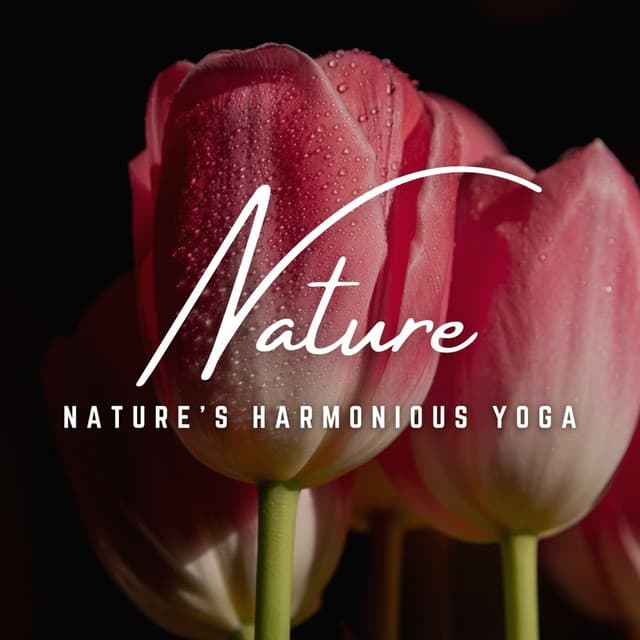 Serenade of Yoga: Healing Harmonies - Yoga