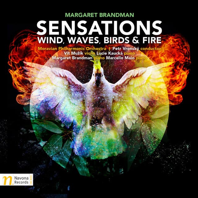 Sensations: Wind, Waves, Birds & Fire - Margaret Brandman