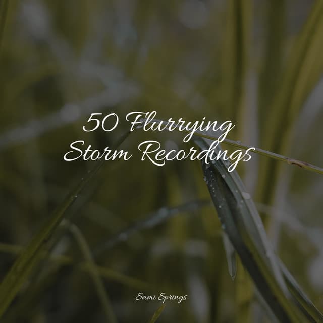 50 Flurrying Storm Recordings - Natureza Musica Bem-Estar Academia