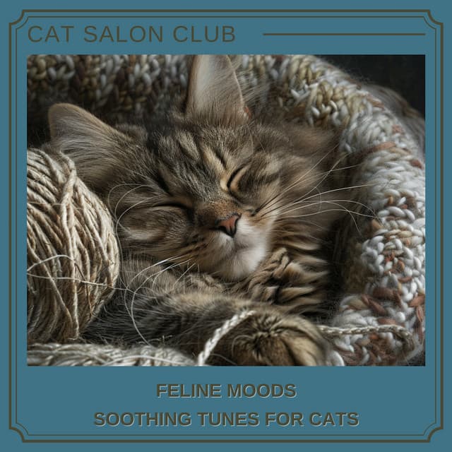 Feline Moods: Soothing Tunes for Cats - Cat Salon Club