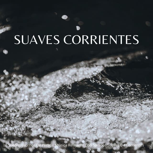 Sueños Diurnos De Perros: Música Relajante Con Sonidos Suaves De Corrientes - Cascadas Relajantes