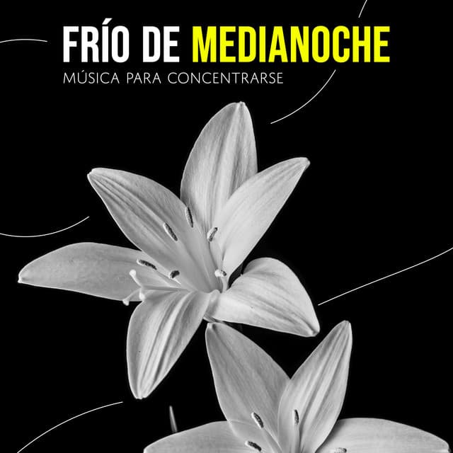 Frío de Medianoche - Música para Concentrarse