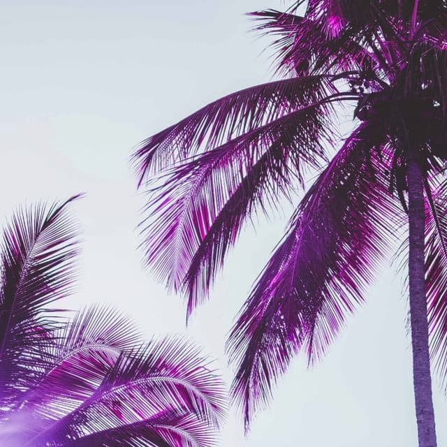 Distinguished Ambiance for New Moods - Coffee House Playlist