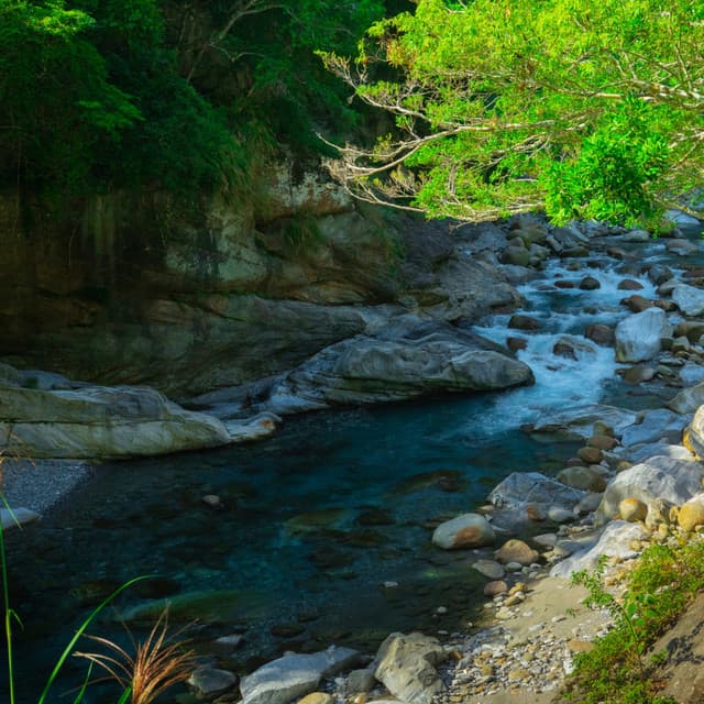 Soothing Waters' Sanctuary: River's Elemental Rhapsody - Nature's Noise
