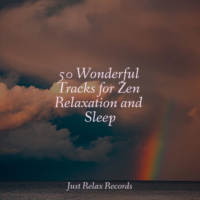 50 Wonderful Tracks for Zen Relaxation and Sleep - Relaxing Mindfulness Meditation Relaxation Maestro